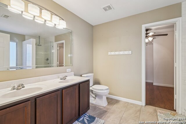 Image 30 of 33 For 12639 Mexican Plum