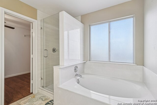 Image 31 of 33 For 12639 Mexican Plum