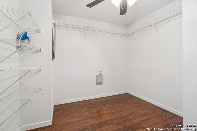 Image 32 of 33 For 12639 Mexican Plum