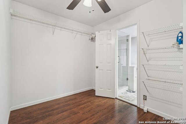 Image 33 of 33 For 12639 Mexican Plum