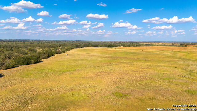 Image 4 of 8 For 43.79 Acres Bynum Road