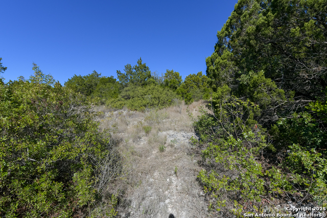 Image 3 of 7 For 11266 Condor Pass