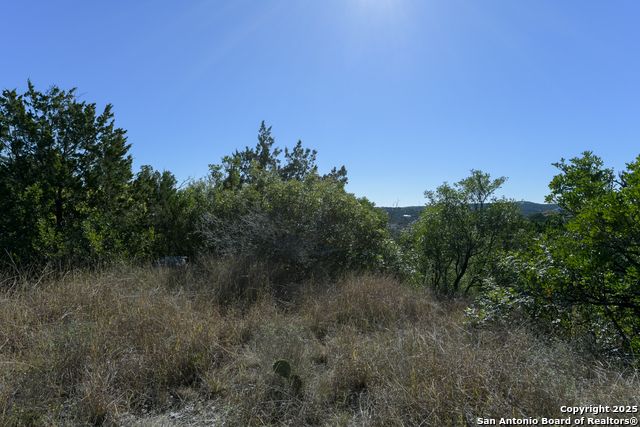 Image 6 of 7 For 11266 Condor Pass
