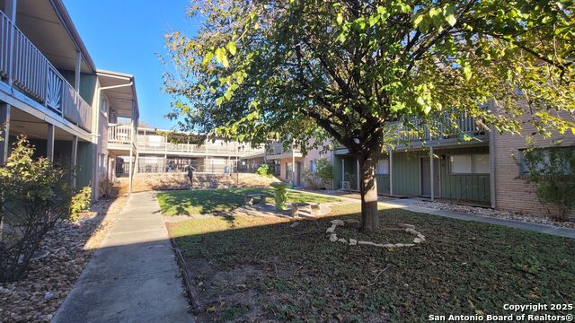 Image 20 of 33 For 516 Gentleman 8