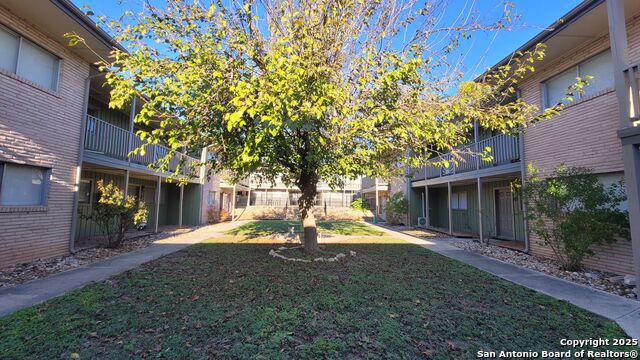 Image 22 of 33 For 516 Gentleman 8