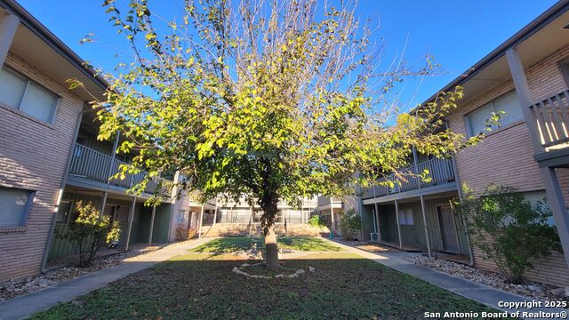 Image 23 of 33 For 516 Gentleman 8