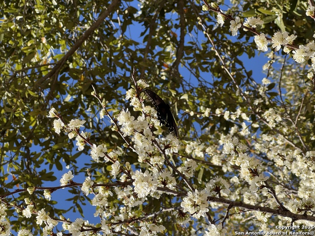 Image 50 of 51 For 8639 Cantua Creek