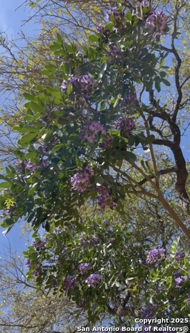 Image 51 of 51 For 8639 Cantua Creek