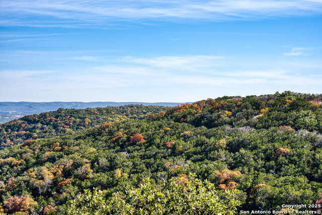 Image 34 of 46 For 1615 Goat S