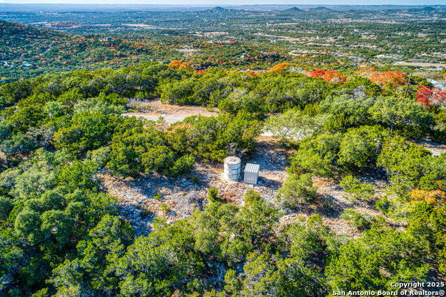 Image 41 of 46 For 1615 Goat S