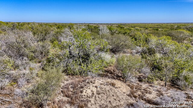 Listing photo id 46 for 2569 Highway 72