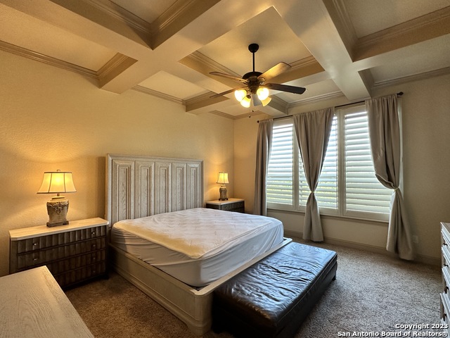 Image 15 of 52 For 27619 Nichols Pass