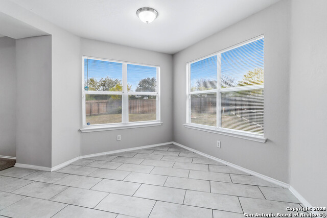 Image 11 of 25 For 7235 Dwarf Palm