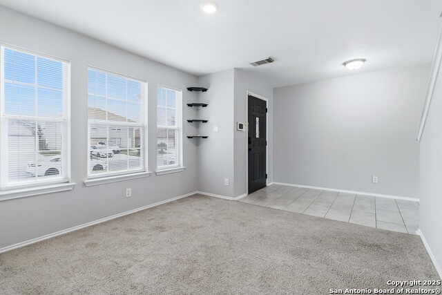 Image 12 of 25 For 7235 Dwarf Palm