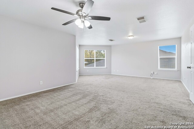 Image 14 of 25 For 7235 Dwarf Palm