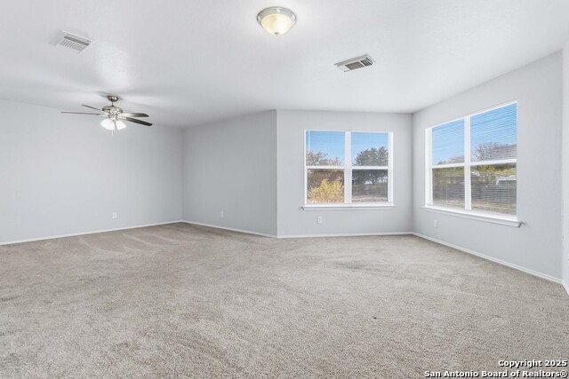 Image 15 of 25 For 7235 Dwarf Palm