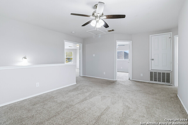 Image 18 of 25 For 7235 Dwarf Palm