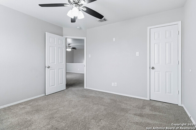 Image 19 of 25 For 7235 Dwarf Palm