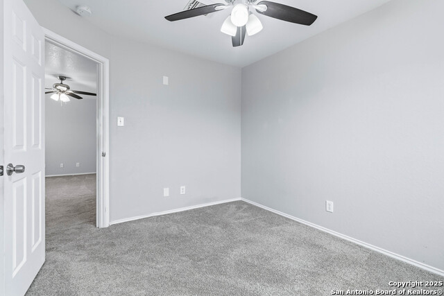 Image 22 of 25 For 7235 Dwarf Palm