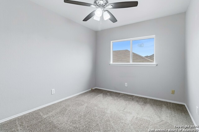 Image 23 of 25 For 7235 Dwarf Palm