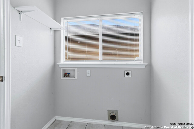 Image 24 of 25 For 7235 Dwarf Palm