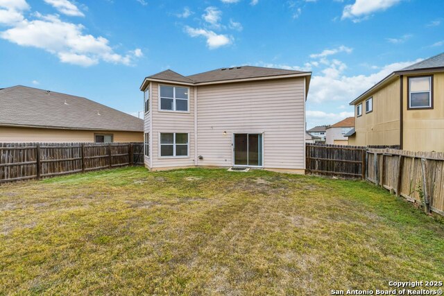 Image 25 of 25 For 7235 Dwarf Palm