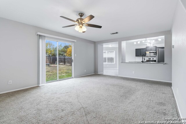 Image 5 of 25 For 7235 Dwarf Palm