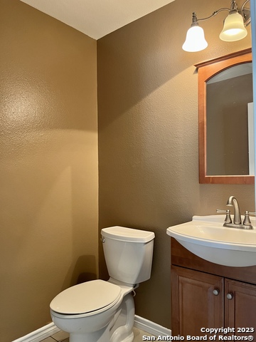 Image 12 of 26 For 10523 Tiger Paw