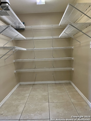 Image 13 of 26 For 10523 Tiger Paw