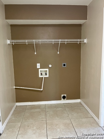 Image 14 of 26 For 10523 Tiger Paw