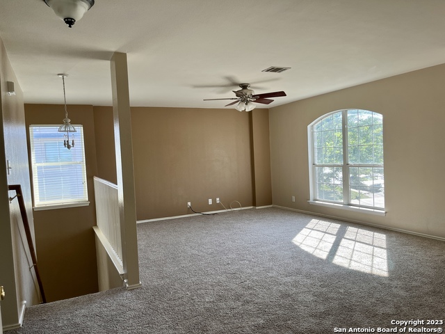 Image 15 of 26 For 10523 Tiger Paw