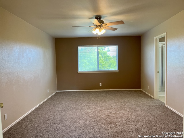 Image 17 of 26 For 10523 Tiger Paw