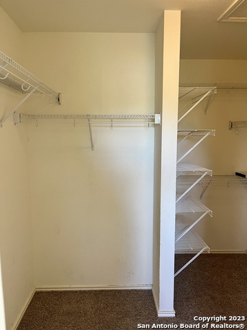 Image 20 of 26 For 10523 Tiger Paw