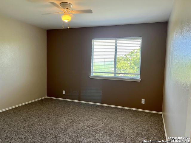 Image 21 of 26 For 10523 Tiger Paw