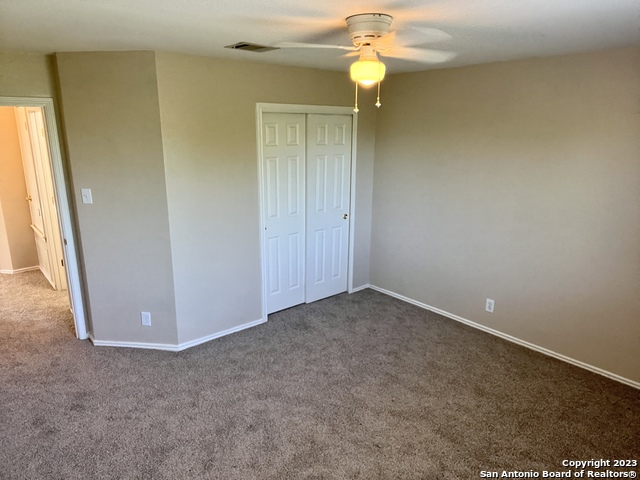 Image 22 of 26 For 10523 Tiger Paw