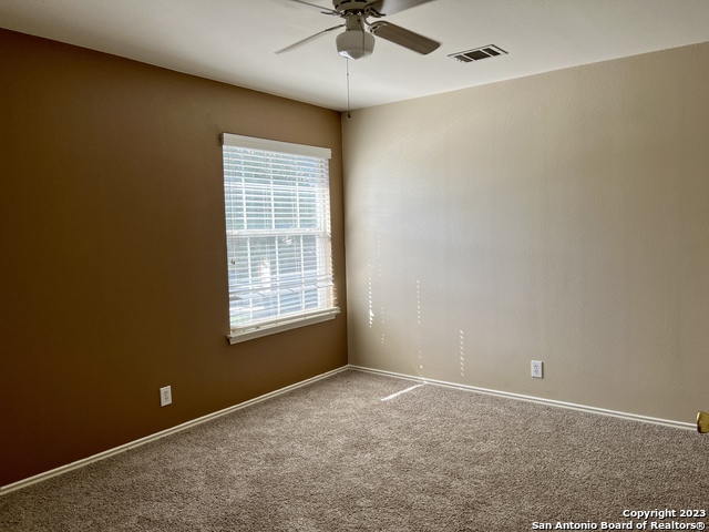 Image 24 of 26 For 10523 Tiger Paw