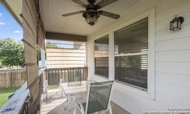 Image 25 of 26 For 10523 Tiger Paw