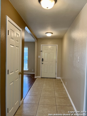 Image 6 of 26 For 10523 Tiger Paw