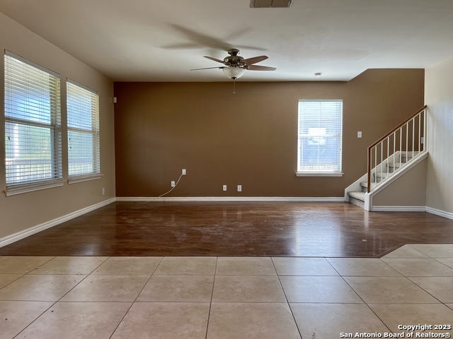 Image 7 of 26 For 10523 Tiger Paw