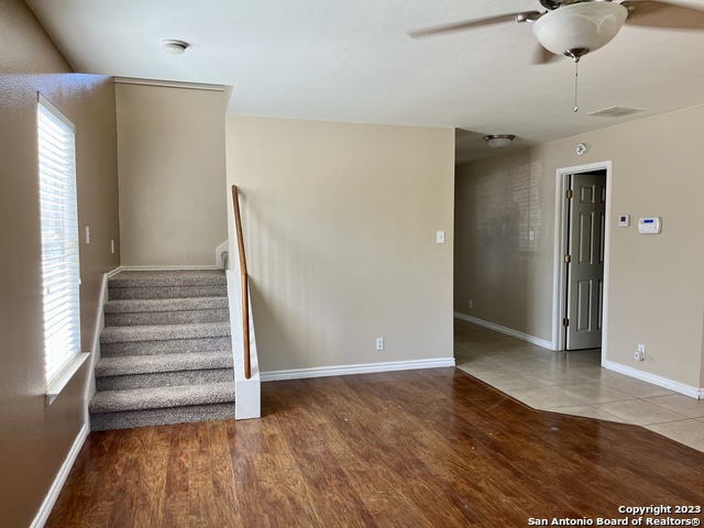 Image 8 of 26 For 10523 Tiger Paw