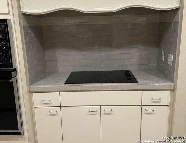 Image 13 of 17 For 8033 New Braunfels N 400 E