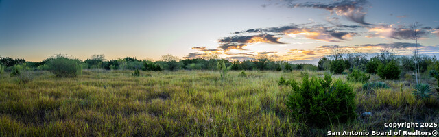 Image 2 of 14 For 437 Hulda Trail