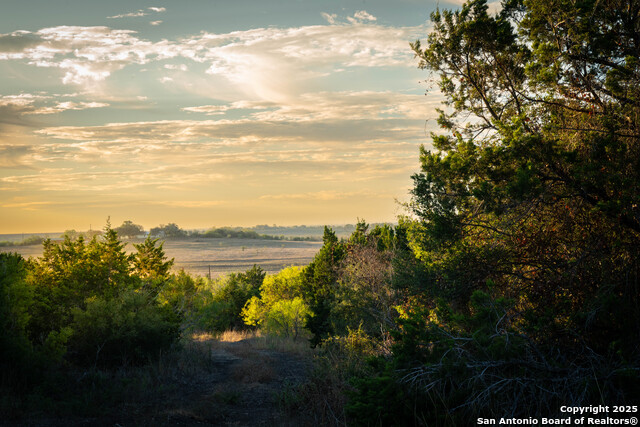 Image 3 of 14 For 437 Hulda Trail