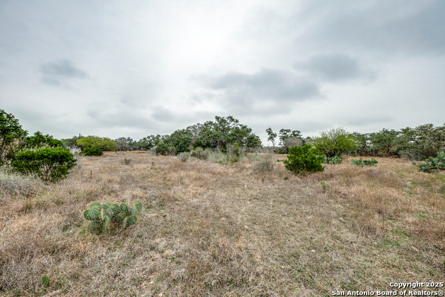 Image 7 of 13 For 801 Grand Oaks