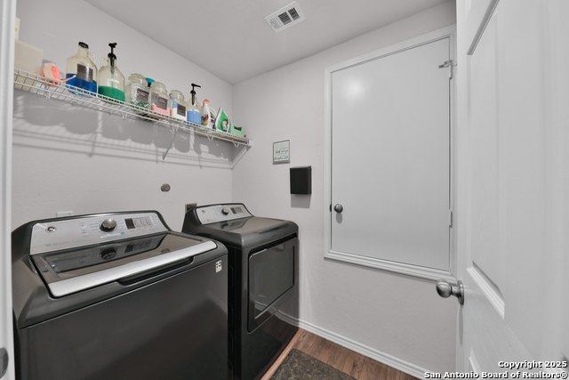 Image 12 of 25 For 3133 Wild Iris