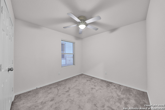 Image 13 of 25 For 3133 Wild Iris