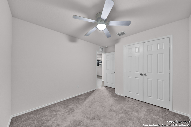 Image 14 of 25 For 3133 Wild Iris