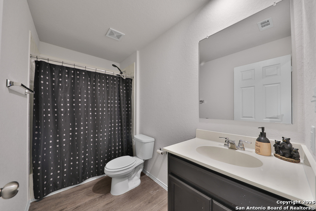 Image 15 of 25 For 3133 Wild Iris