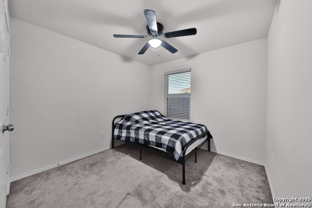 Image 16 of 25 For 3133 Wild Iris