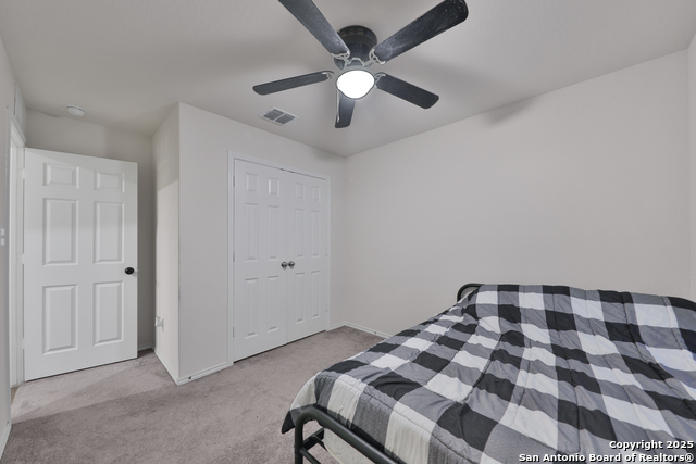 Image 17 of 25 For 3133 Wild Iris